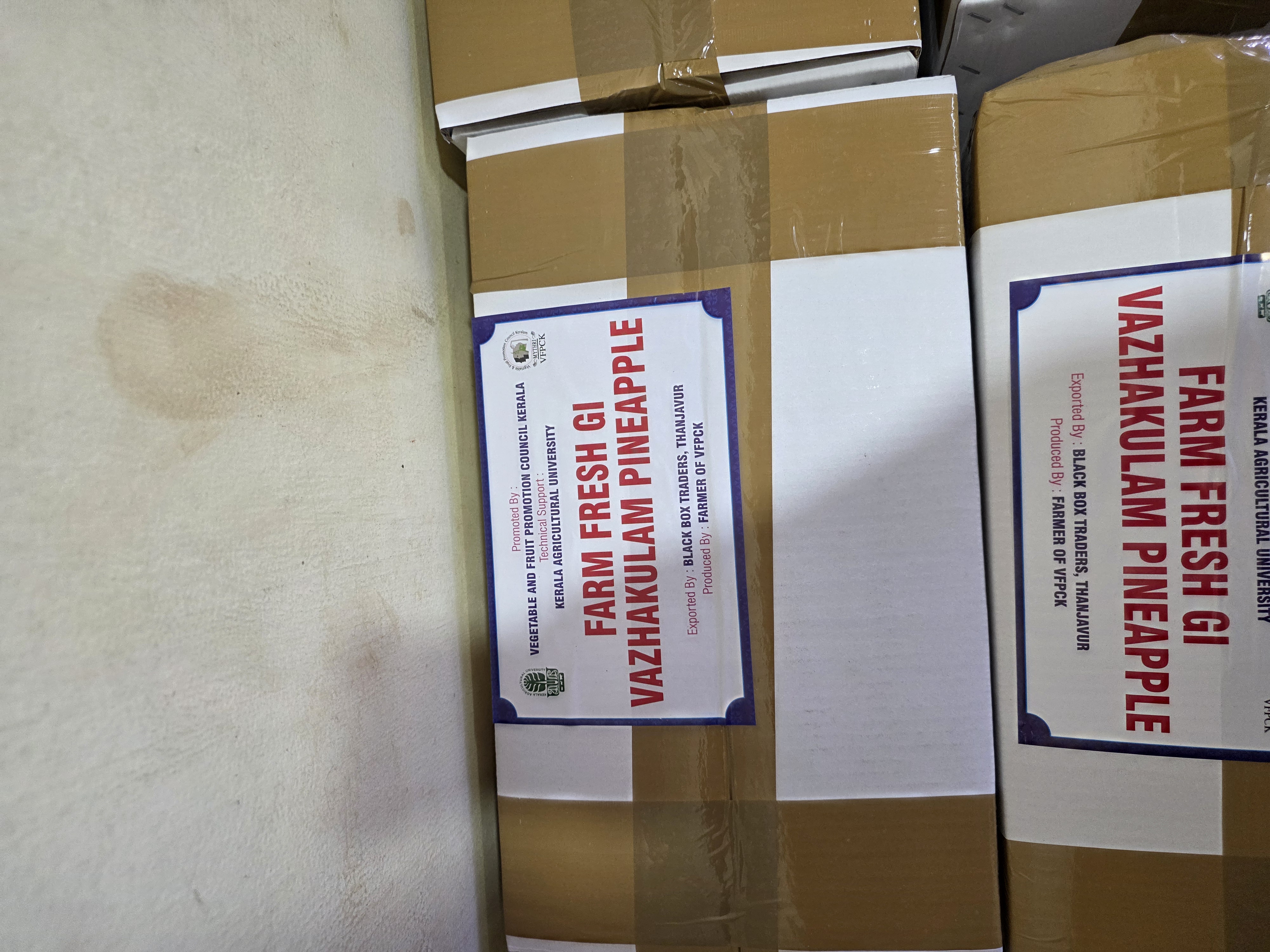 Farm Fresh GI Vazhakulam Pineapple cartons labelled with BlackBox Traders as exporter