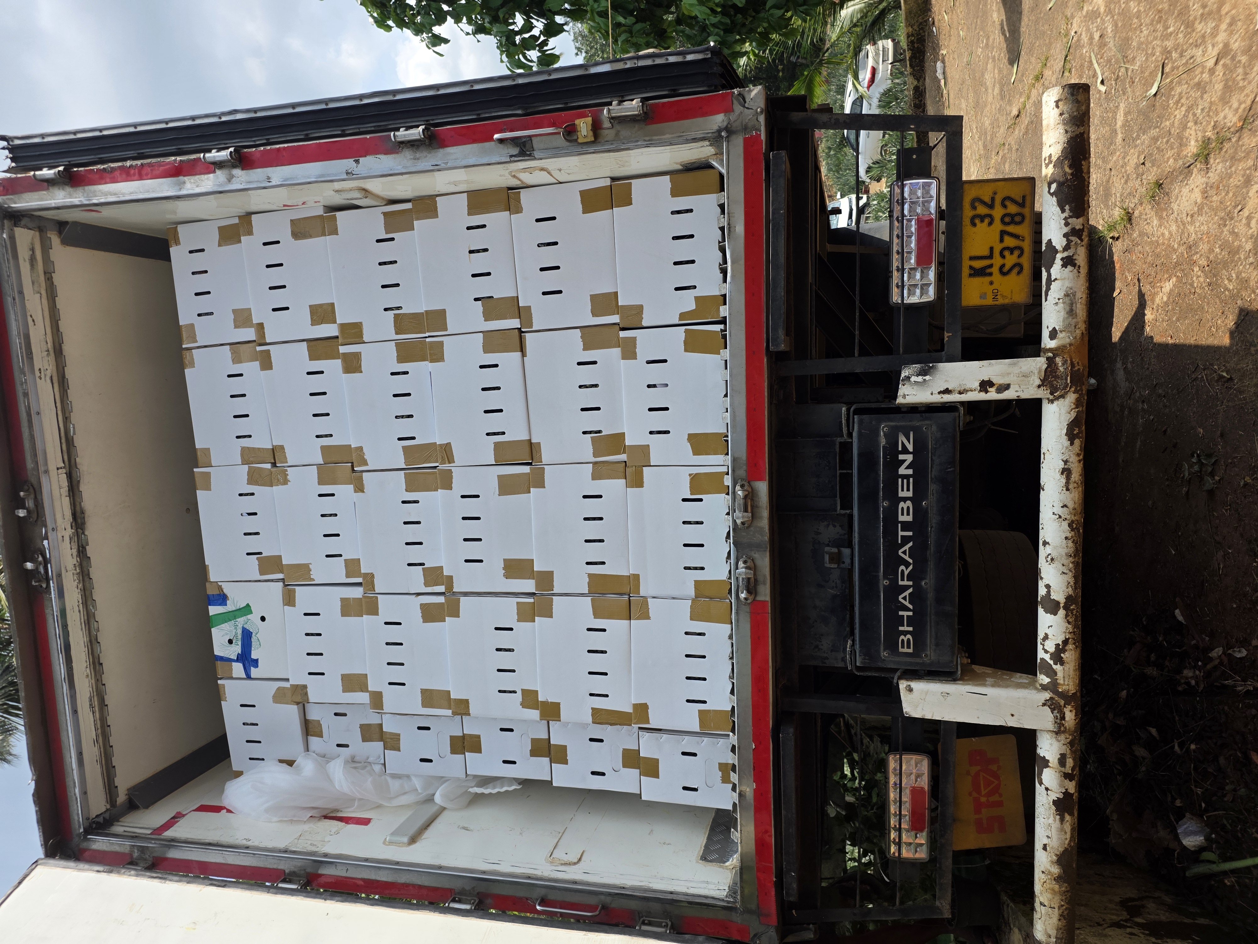 Refrigerated truck stacked full of pineapple export cartons