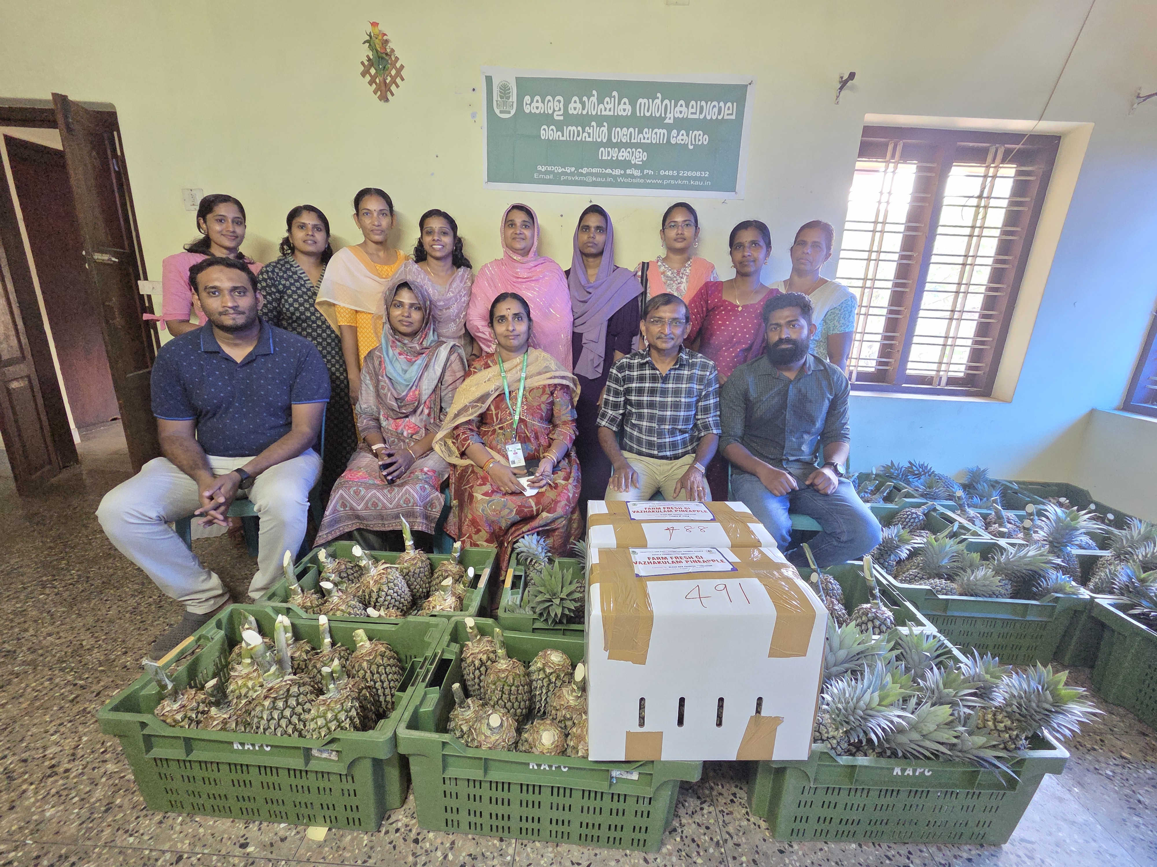Team with crated pineapples and export cartons at the KAU Pineapple Research Station, Vazhakulam