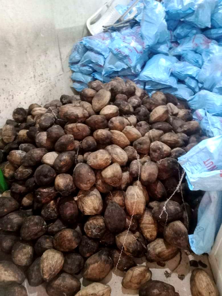 Semi-husked coconuts beside a woven packing sack