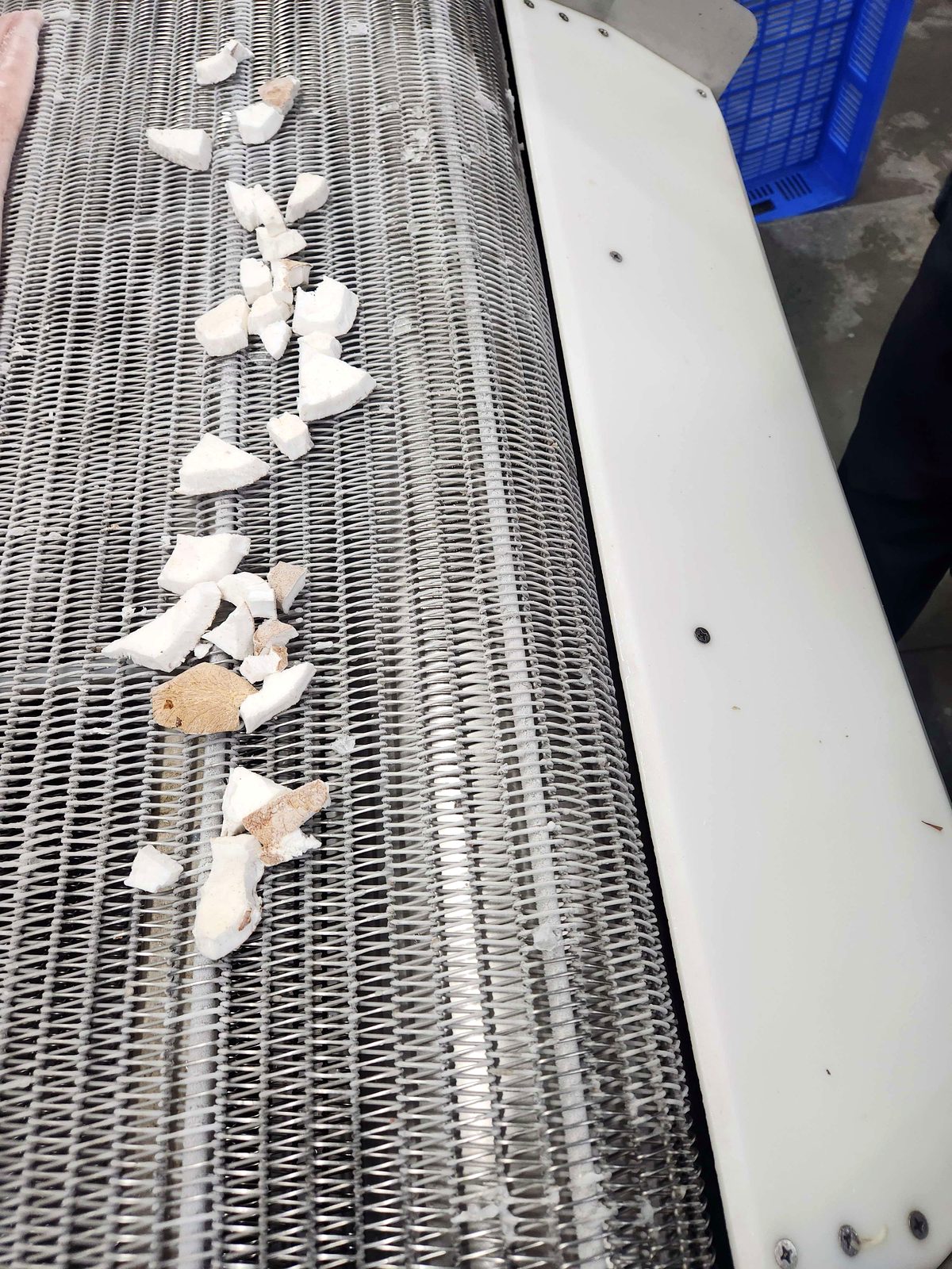 White coconut pieces moving along a processing conveyor