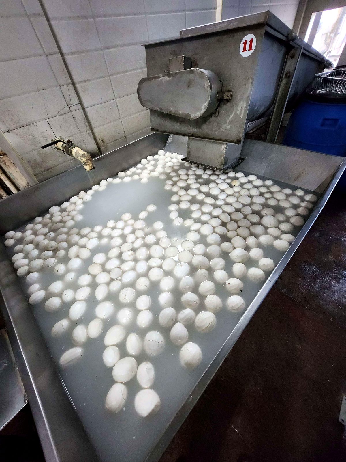 Peeled white coconuts on a stainless-steel processing line