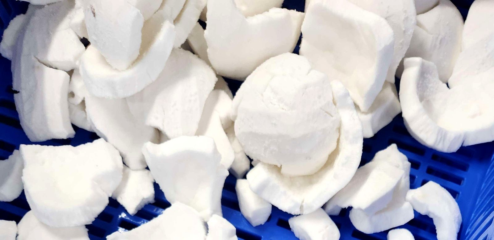 White coconut chips in a container