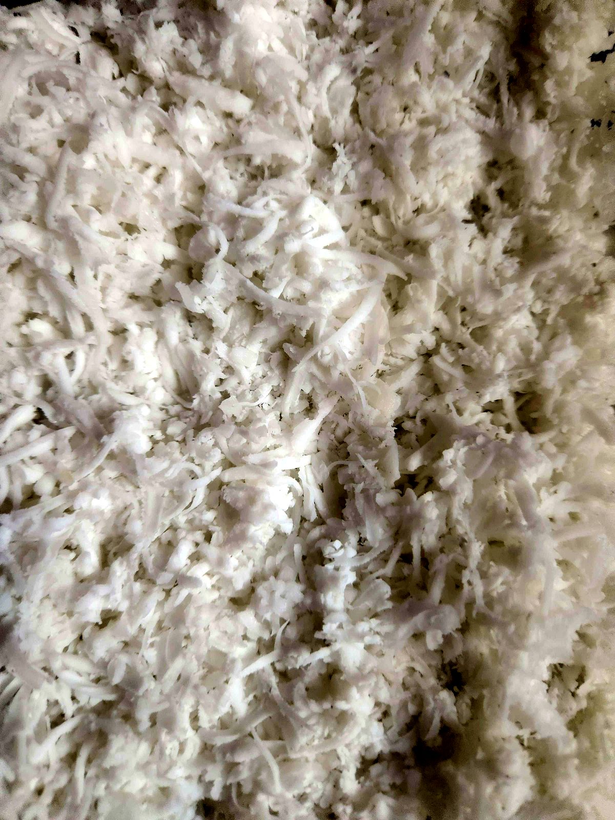 Close-up of finely grated desiccated coconut