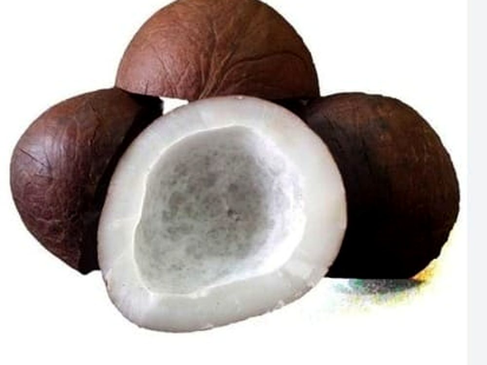 Copra — export-grade coconut products