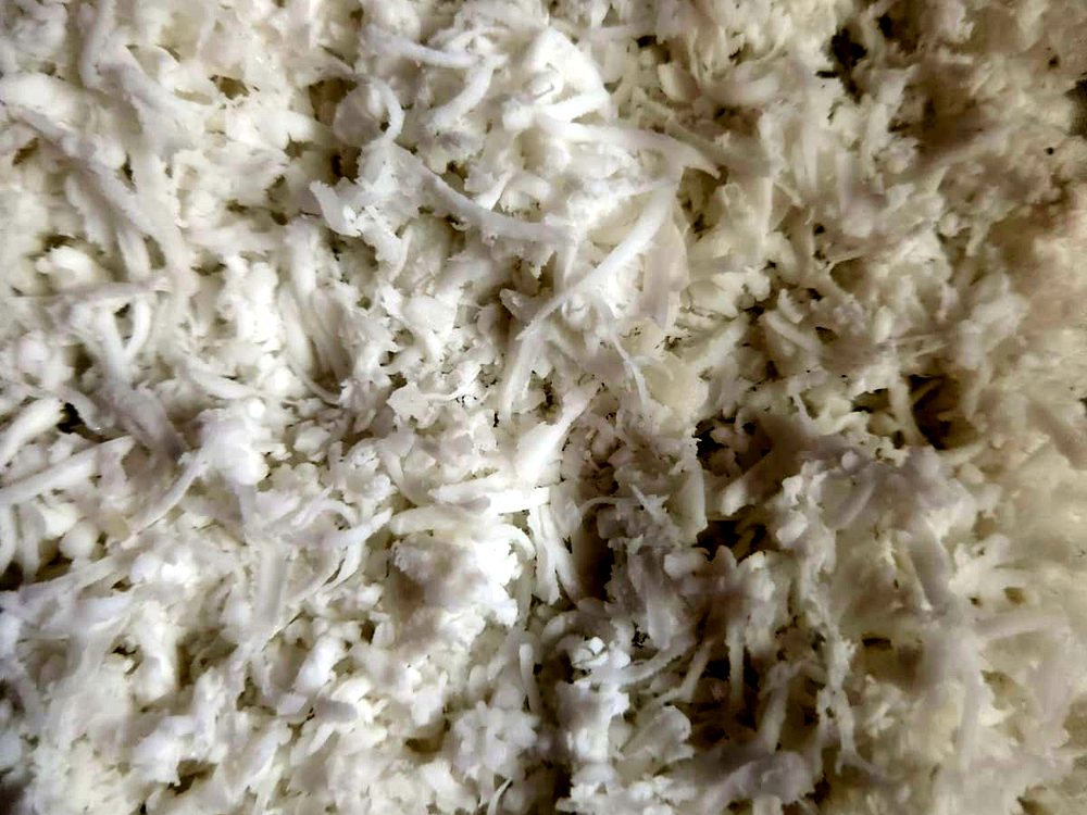 Desiccated Coconut (DC) — export-grade coconut products